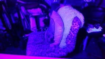 blindsurfer live cam on Cam4