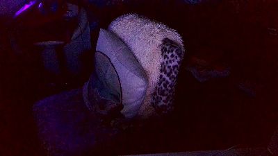 blindsurfer live cam on Cam4