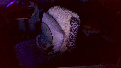 blindsurfer live cam on Cam4