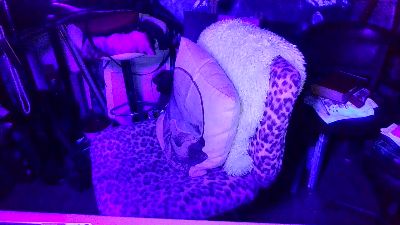 blindsurfer live cam on Cam4