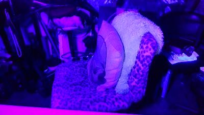 blindsurfer live cam on Cam4