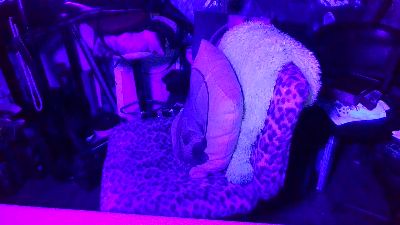 blindsurfer live cam on Cam4