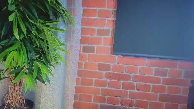 blondie_ink live cam on Cam4