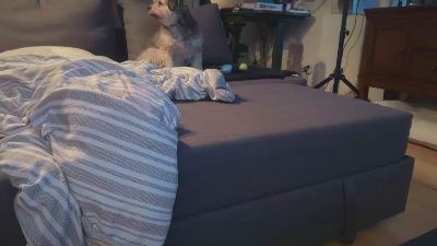 bnad832 live cam on Cam4