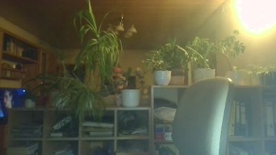 bobbily live cam on Cam4