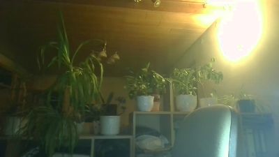bobbily live cam on Cam4