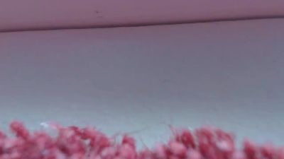 bobbuild2016 live cam on Cam4