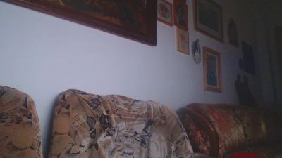 bogdan393 live cam on Cam4