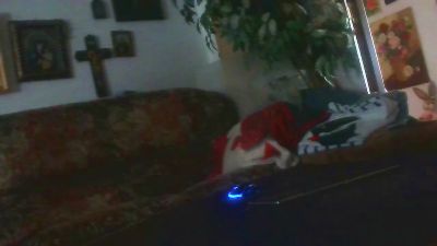 bogdan393 live cam on Cam4