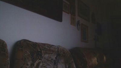 bogdan393 live cam on Cam4