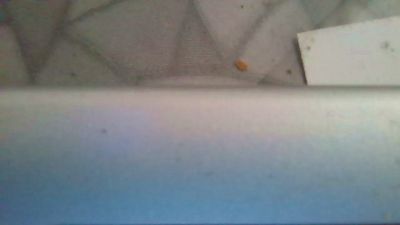 bomalbelbit live cam on Cam4