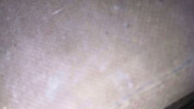 bongars21 live cam on Cam4