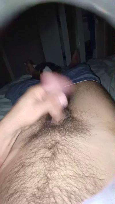 bongars21 live cam on Cam4