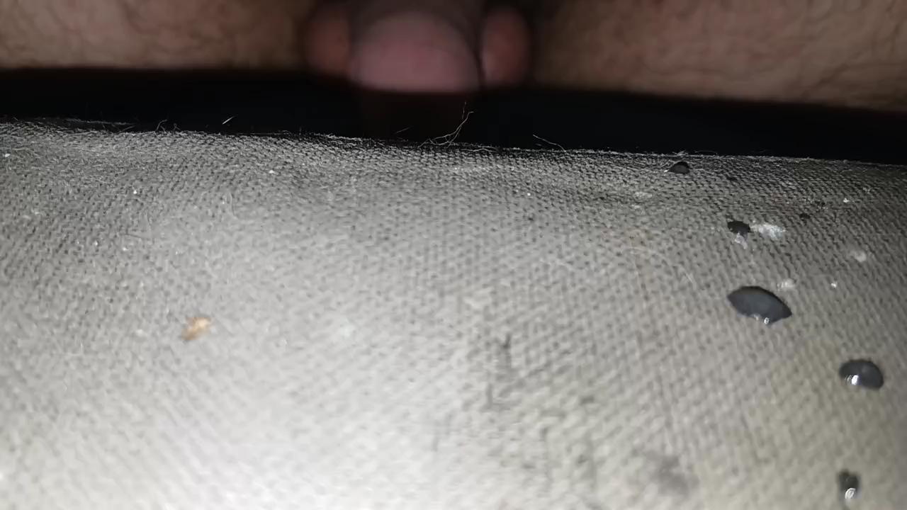 bongars21 live cam on Cam4
