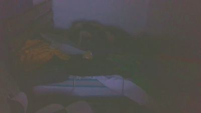 boost2469 live cam on Cam4