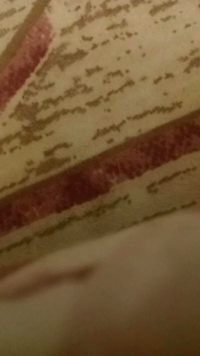 bottomgaybear live male webcam from Turkey