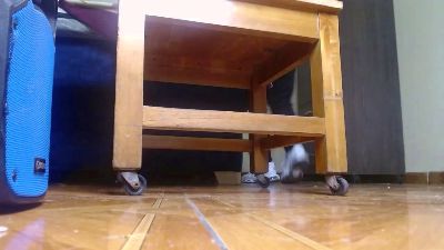 boyforslave live cam on Cam4