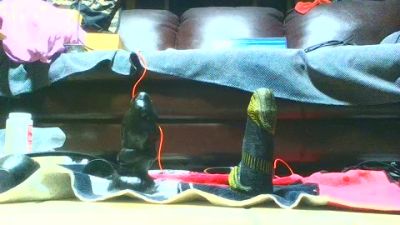 boyssimo live cam on Cam4