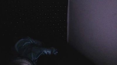 brianasofia_ts live cam on Cam4