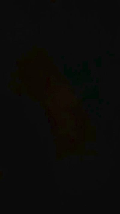 brucofarfalla live cam on Cam4
