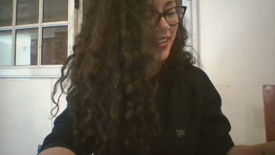 brudar webcam