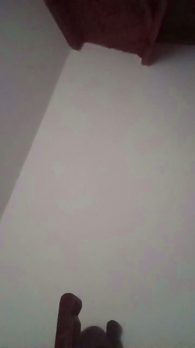 brunodegoas live cam on Cam4