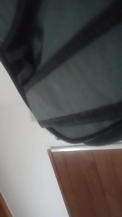 brunodegoas live cam on Cam4