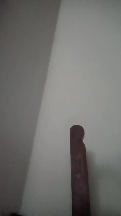 brunodegoas live cam on Cam4