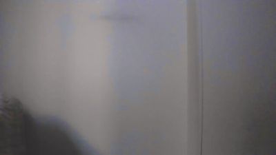 budidodo6y live cam on Cam4