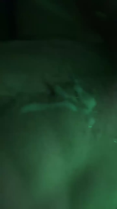bull27xxx live cam on Cam4