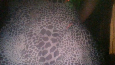 cachetes19 live cam on Cam4