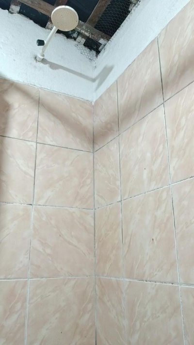 cachorrosolto1 live cam on Cam4