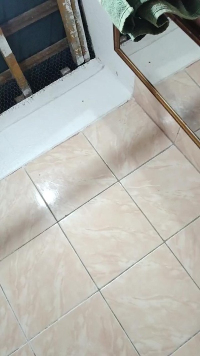 cachorrosolto1 live cam on Cam4