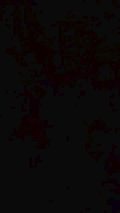 caedumar live cam on Cam4