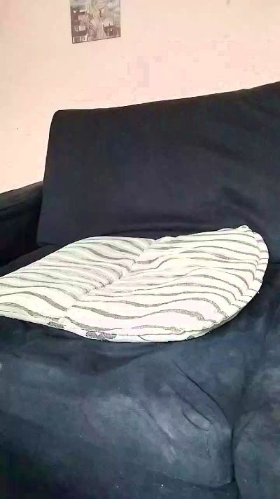 caedumar live cam on Cam4