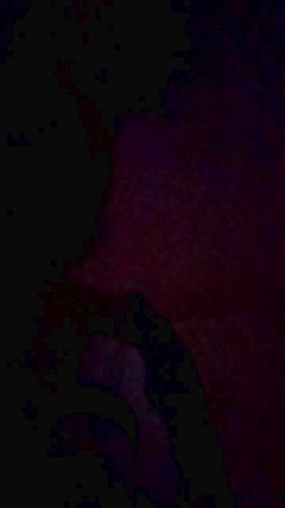 caedumar live cam on Cam4