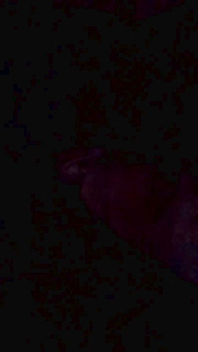 caedumar live cam on Cam4