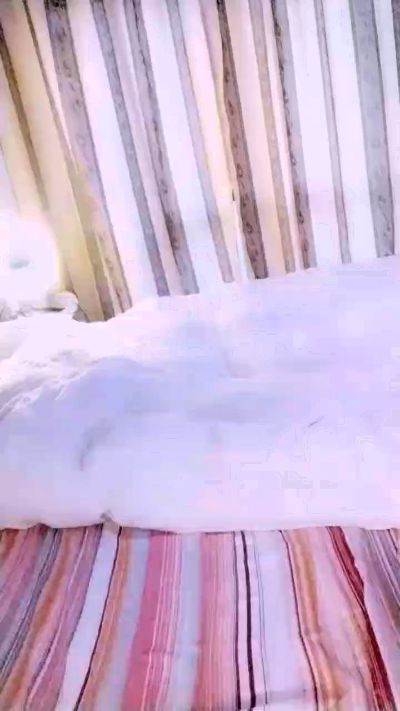 cagna25 Live Cam on Cam4