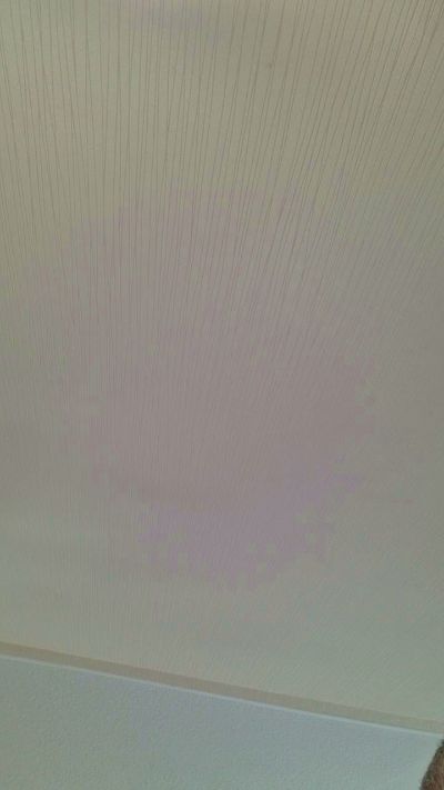callmem1 live cam on Cam4