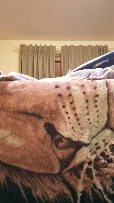 callmenastynam4 live cam on Cam4