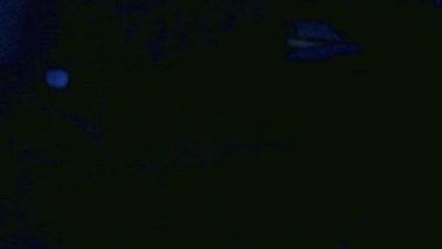 canusucit live cam on Cam4