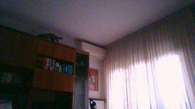 capellarossa live cam on Cam4
