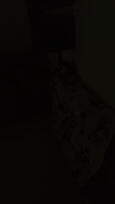 carlosaxelalva live cam on Cam4