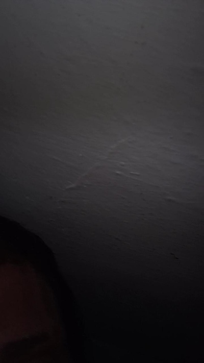 carlosaxelalva live cam on Cam4