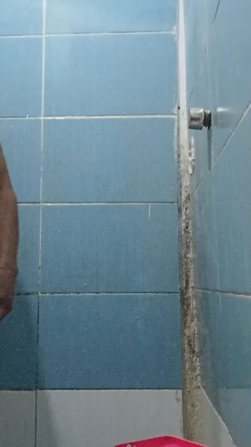 carlosaxelalva live cam on Cam4