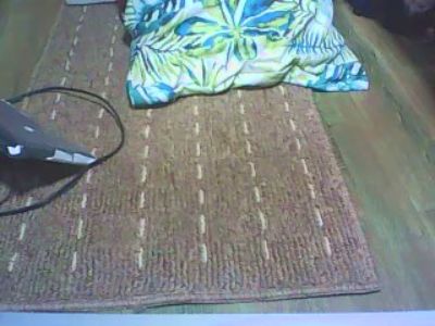 carolhynbay live cam on Cam4