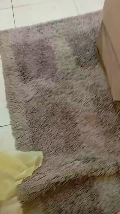 free sex web cam Casal1995x