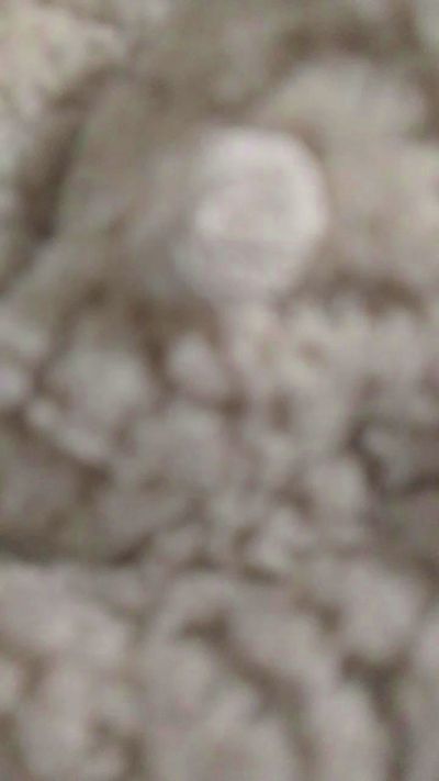 casalrj182 webcam