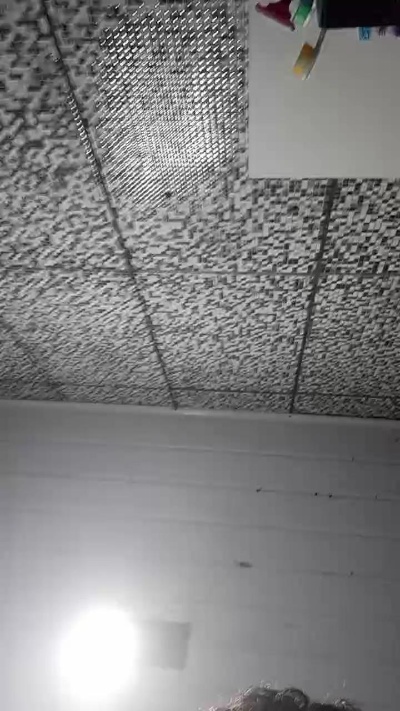 casaltrasante5 live cam on Cam4