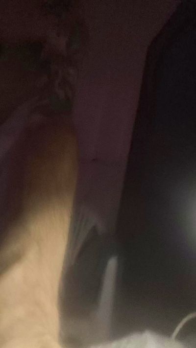 casanovabat1234 live cam on Cam4